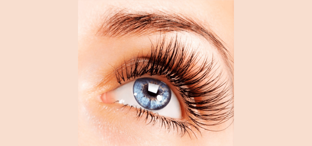 “Excuse Me, My Face Is Up Here”: A Study Of Eye Movements And Sexual Intentions