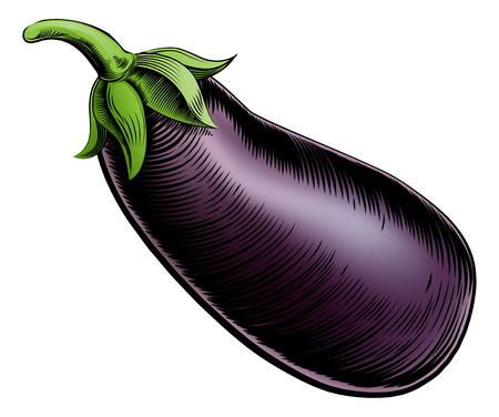 7 Facts About The Penis (VIDEO)