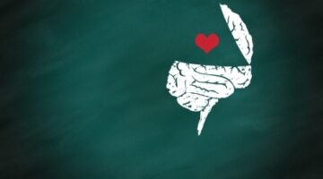 Video: Why We Love, Why We Cheat