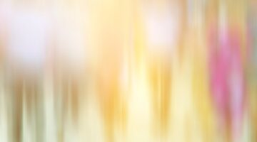 It’s A Fuzzy Line Between Male And Female (VIDEO)