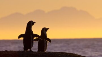 Are People In Monogamous Relationships More Satisfied?