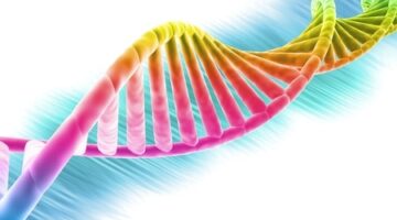 Does Everybody Have a Gay Gene?