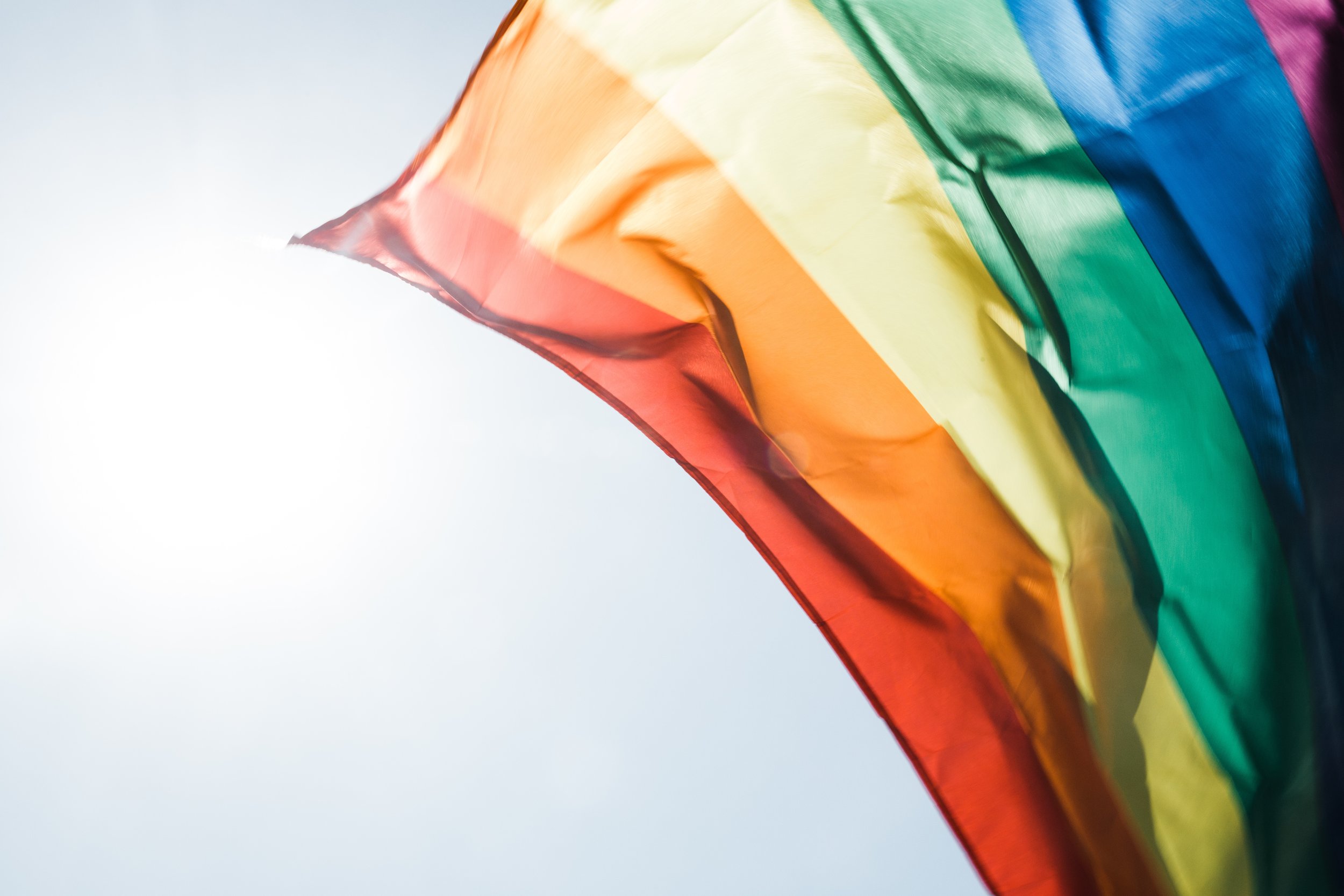 Why Different Sexual Orientations Exist (Video)